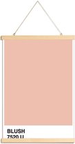 JUNIQE - Posterhanger Blush -30x45 /Roze & Wit