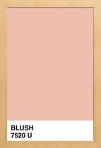JUNIQE - Poster met houten lijst Blush -20x30 /Roze & Wit