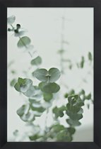 JUNIQE - Poster in houten lijst Eucalyptus Green 2 -30x45 /Groen & Wit