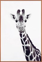 JUNIQE - Poster met kunststof lijst Giraffe -20x30 /Grijs & Wit