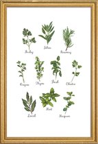 JUNIQE - Poster met houten lijst Herbs Collection -30x45 /Groen & Wit