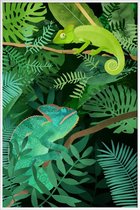 JUNIQE - Poster in kunststof lijst Chameleons -40x60 /Groen