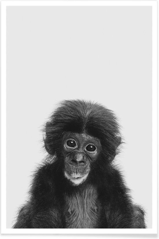 JUNIQE - Poster Bonobo Classic -20x30 /Wit & Zwart