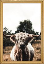 JUNIQE - Poster met houten lijst Boris Highland Cow -40x60 /Bruin &
