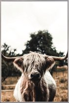 JUNIQE - Poster met kunststof lijst Boris Highland Cow -13x18 /Bruin &