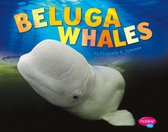 Sea Life - Beluga Whales