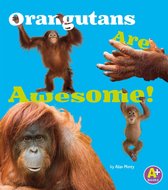 Awesome Asian Animals - Orangutans Are Awesome!