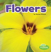 Plant Parts - Flowers