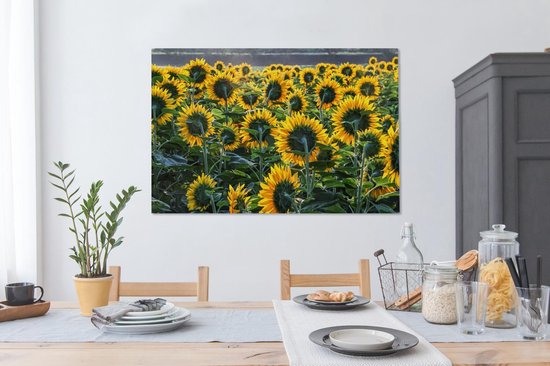 Tableau Toile Tournesols - Printemps - Jaune - 140x90 cm - Décoration murale