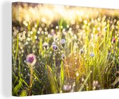 Canvas Schilderij Gras - Bloemen - Lente - 120x80 cm - Wanddecoratie