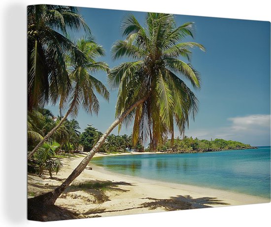 Canvas Schilderij De palmbomen met blauwe zee en lucht bij de Baai-eilanden in Noord-Amerika - 120x80 cm - Wanddecoratie