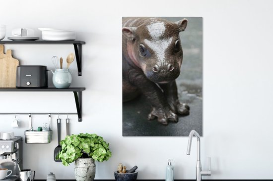 Bébé Hippo 60x90 cm - impression photo sur toile peinture (Décoration murale salon / chambre à coucher) / Les jeunes Animaux toile Peintures