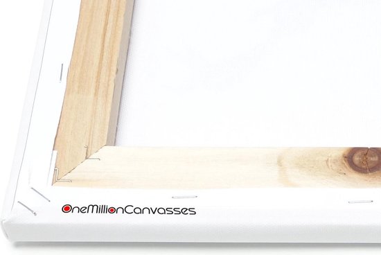 Chat câlin avec chaton 60x40 cm - Tirage photo sur toile (Décoration murale salon / chambre)