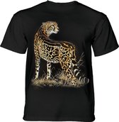 T-shirt King Cheetah 3XL