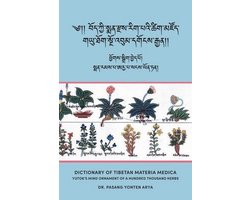 Dictionary of Tibetan Materia Medica (Bod kyi sman rdzas rig pa'i tshig mdzod)