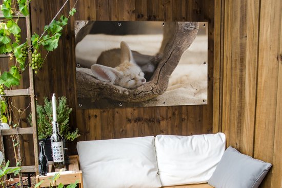 Tuinposter 120x80 cm - Tuindecoratie Woestijnvos slaapt in holle boomstam - Poster voor in de tuin - Buiten decoratie - Schutting tuinschilderij - Tuindoek muurdecoratie - Wanddecoratie balkondoek