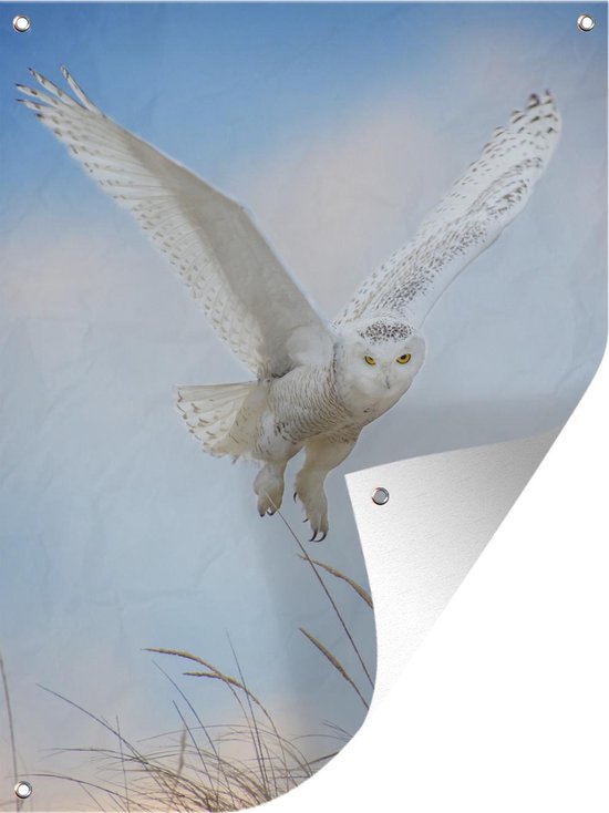 Affiche de jardin - Harfang des neiges volant - 90x120 cm
