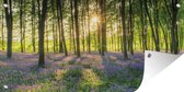 Tuinposter Een bos bedekt met sterhyacinten tijdens een zonnige dag - 60x30 cm - Tuindoek - Buitenposter