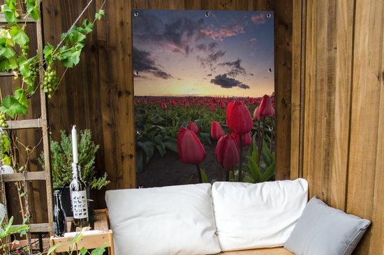 Affiche jardin - Toile jardin - Posters de jardin extérieur - Tulipes rouges et coucher de soleil - 90x120 cm - Jardin