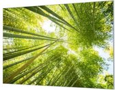 Wandpaneel Groen bamboe bos  | 210 x 140  CM | Zwart frame | Akoestisch (50mm)