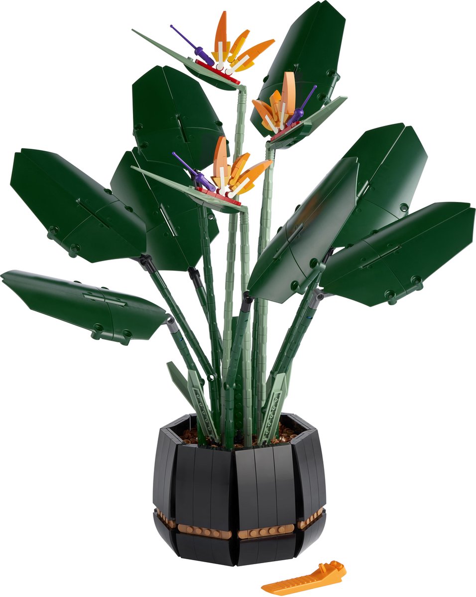 LEGO Botanicals Paradijsvogelplant 10289 — afbeelding 3