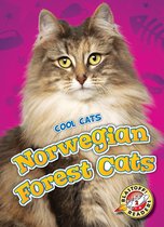 Cool Cats - Norwegian Forest Cats