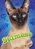 Cool Cats - Siamese