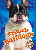 Awesome Dogs - French Bulldogs