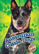 Awesome Dogs - Australian Cattle Dogs