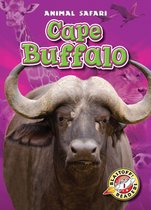 Animal Safari - Cape Buffalo