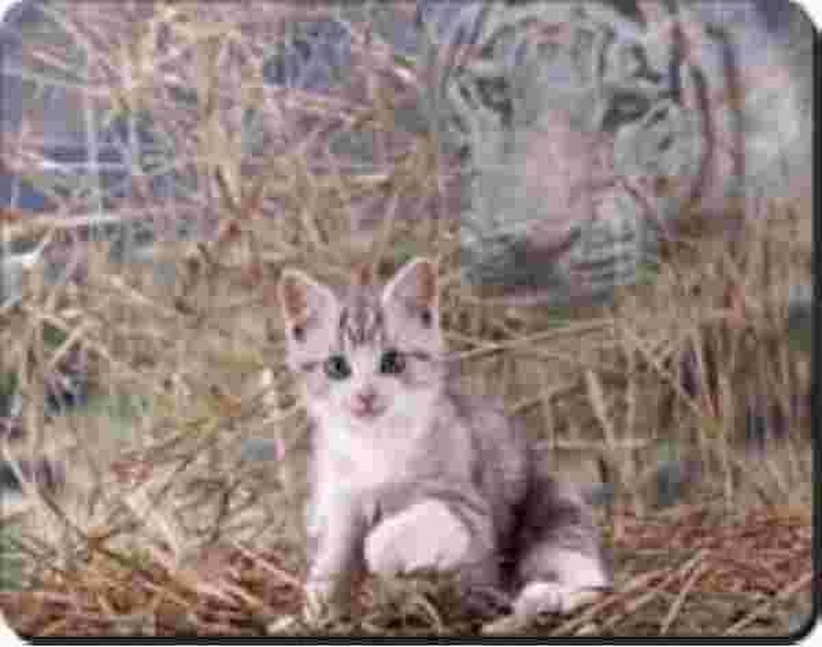 Spirit kat zilveren tabby + tijger in stro Muismat