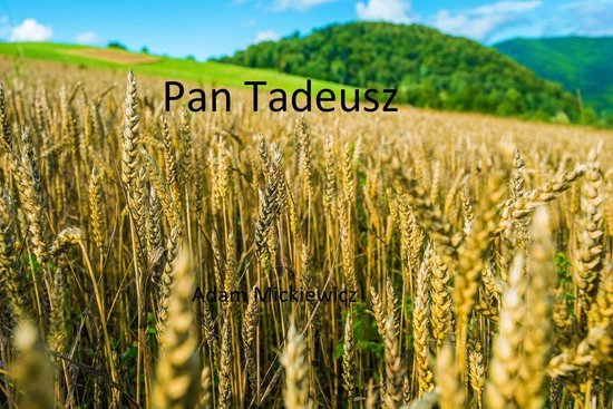 Pan Tadeusz - cover