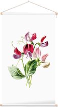 Pronkerwt (Sweet Pea White) - Foto op Textielposter - 40 x 60 cm