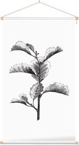 Els zwart-wit (Leaved Alder) - Foto op Textielposter - 40 x 60 cm