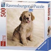Ravensburger puzzel Golden Retriever Pup - Legpuzzel - 500 stukjes
