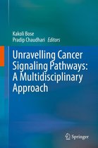 Unravelling Cancer Signaling Pathways: A Multidisciplinary Approach