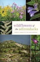 Wildflowers of the Adirondacks