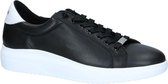 e Sneakers Steve Madden Alex