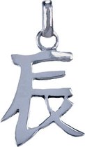 Zilveren Chinese horoscoop Draak - Enthousiast ketting hanger