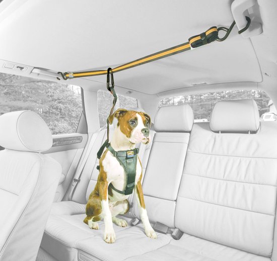 Dog Car Zipline  Dog Car Restraint