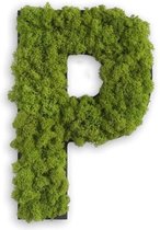 Stylegreen Alfabet letters A t/m Z - Reindeer moss - 25cm