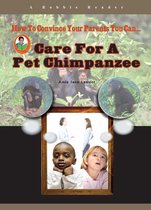 Care for a Pet Chimpanzee