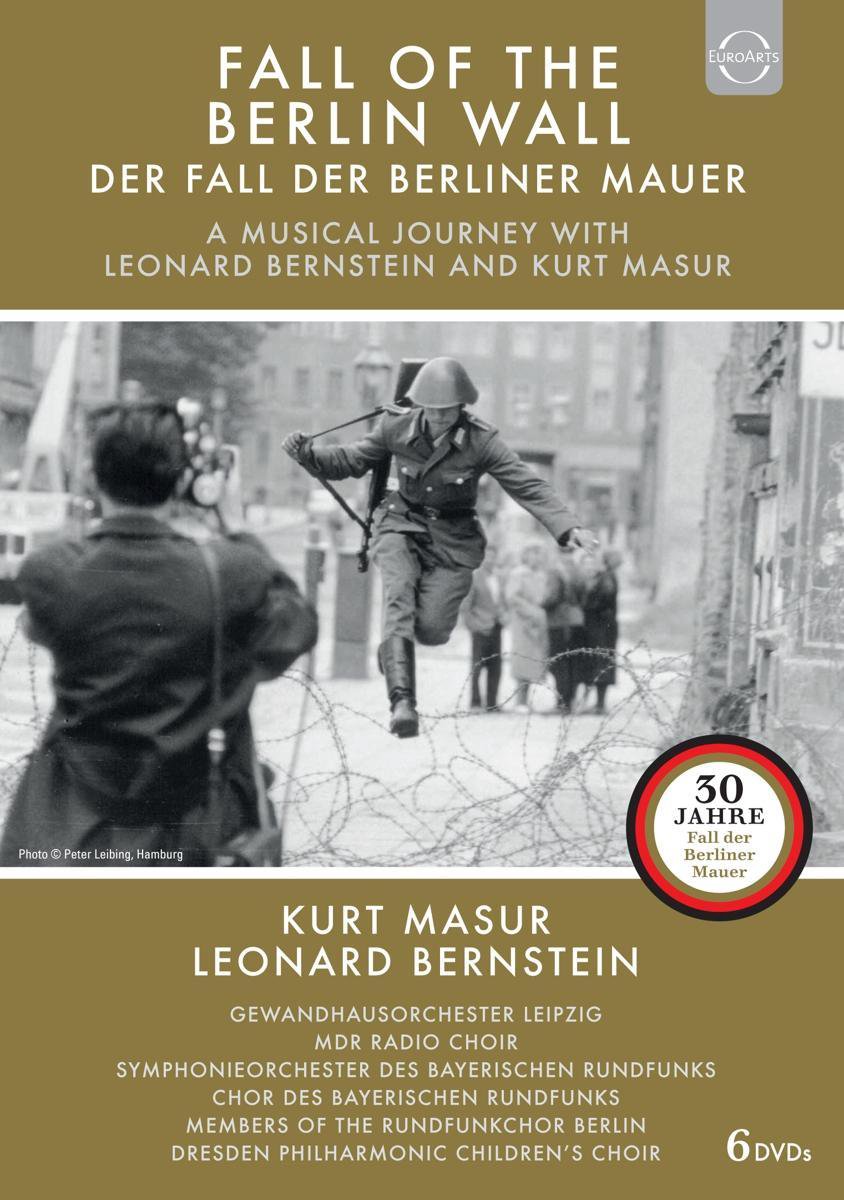 Fall Of The Berlin Wall