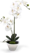Phalaenopsis Orchidee kunstplant 50 cm x2 in schaal