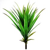 Yucca boeket 50cm