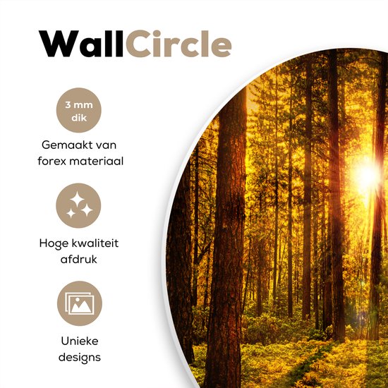 WallCircle - Cercle mural - Cercle mural - Soleil - Forêt - Vert - Nature - Tableau rond - Cercle mural intérieur - 140x140 cm - Décoration murale - Plastique - Décoration murale ronde