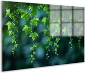 Bladeren schilderij - Natuur glas schilderij - Schilderij op glas licht - Wanddecoratie modern - Acrylglas schilderij - Woondecoratie acrylglas 150x100 cm