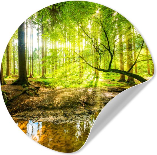 Foto: Wallcircle behangcirkel zelfklevend behang bos zon rivier ronde wanddecoratie 100x100 cm behangsticker rond behang wandcirkel natuur