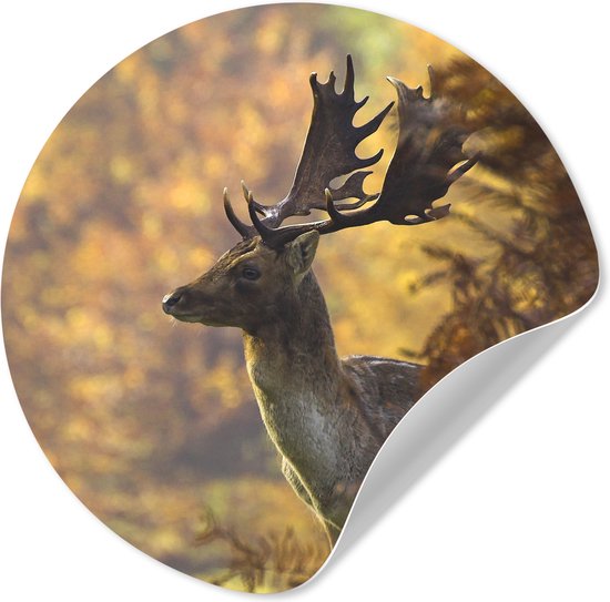 WallCircle® - Behangcirkel 50x50 cm - Muurstickers Hert - Gewei - Herfst - Muurcirkel woonkamer - Wandcirkel slaapkamer - Kamer decoratie zelfklevend - Muurdecoratie accessoires
