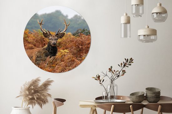 Een hert met imposante geweien in een herfstbos, gefotografeerd in een ronde muurcirkel boven een eettafel.